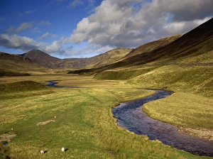 Streams Prints: Glen Shee, Tayside, Scotland, United Kingdom, Europe