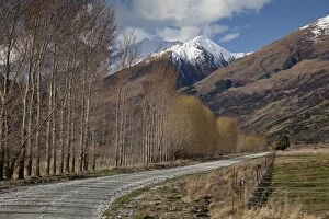 Images Dated 9th September 2010: Glenorchy to Paradise Road, Queenstown, South Island, New Zealand, Pacific