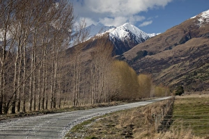 Rural Roads Prints: Glenorchy to Paradise Road, Queenstown, South Island, New Zealand, Pacific