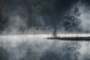 Pian Di Gembro Prints: The gloomy atmosphere created by the sun illuminating the mist rising from the ponds of the Nature Reserve of Pian di