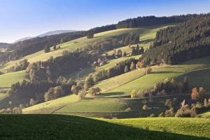 Glottertal Valley Prints: Glottertal Valley in autumn, Black Forest, Baden Wurttemberg, Germany, Europe