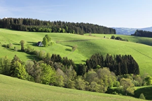 Black Forest Prints: Glottertal Valley, Black Forest, Baden Wurttemberg, Germany, Europe