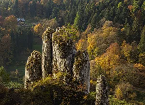 The Glove Rock Formation, Ojcow National Park, Krakow-Czestochowa Upland (Polish Jura)