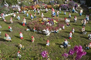 Images Dated 3rd March 2009: Gnomes, Port Stanley, Falkland Islands, South America