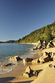 Sand Beach Prints: Goat Bay, Abel Tasman National Park, Tasman, South Island, New Zealand, Pacific
