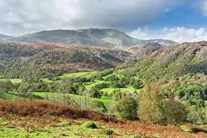Tarn Hows Prints: Goat Crag and Coniston Moor from Tarn Hows near Coniston in south eastern Lake District
