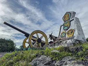 Daily Prints: Goat resting near historical cannon in Kokas village on the island of Papua in Indonesia