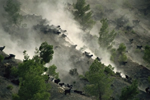 Dusty Prints: Goats heading for better pastures, Anatolia, Turkey, Asia Minor, Eurasia
