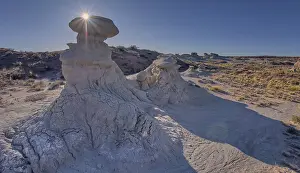 Wonderful Prints: Goblin Garden west of Hamilili Point in Petrified Forest National Park
