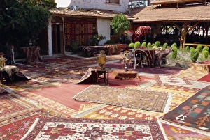 Carpet Prints: Gocek, Anatolia
