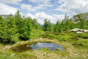 Swiss Prints: Going down toward Santa Maria valley, Lucomagno area, Canton Ticino, Switzerland