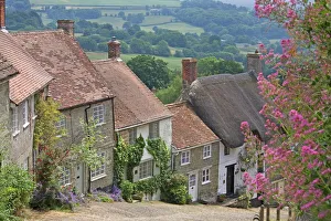 Cottage Prints: Gold Hill in June, Shaftesbury, Dorset, England, United Kingdom, Europe