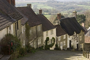 Homes Prints: Gold Hill, Shaftesbury, Wiltshire, England, United Kingdom, Europe
