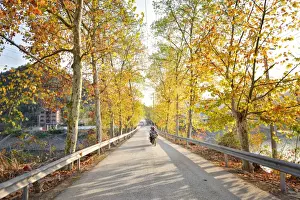 Motorbike Prints: Golden autumn colors with motorbike in an alley of a village near Qiandao Lake