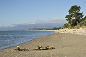 Tasman Prints: Golden Bay, Tasman, South Island, New Zealand, Pacific