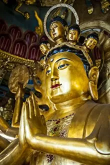 Images Dated 12th April 2011: Golden Buddha in the Guandu Temple, Guandu, Taipei, Taiwan, Asia