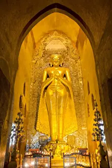Golden Buddha image standing 33ft tall inside Ananda Paya, Bagan, Myanmar (Burma), Southeast Asia