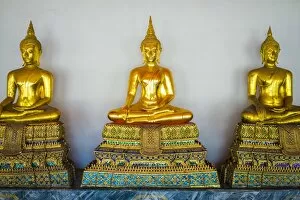 Southeast Asian Gallery: Golden Buddha statues, Wat Pho (Temple of the Reclining Buddha), Bangkok, Thailand