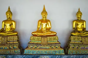 South East Asian Prints: Golden Buddha statues, Wat Pho (Temple of the Reclining Buddha), Bangkok, Thailand