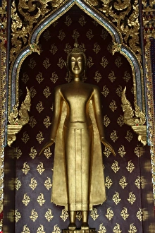 Wat Po Prints: Golden Buddha in Wat Po temple, Bangkok, Thailand, Southeast Asia, Asia