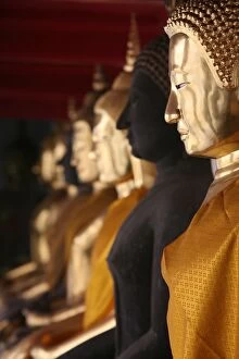 Golden Buddhas at Wat Po, Bangkok, Thailand, Southeast Asia