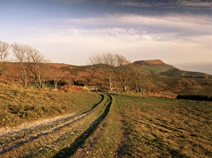 Dirt Track Prints: Golden Cap, Dorset, England, United Kingdom, Europe