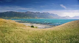 Summertime Prints: Golden Coastal Grass Sloping Toward Turquoise Sea with the Seaward Kaikoura Range in the Background
