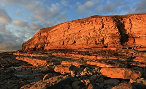 Southerndown Prints: Golden evening light on the limestone cliffs