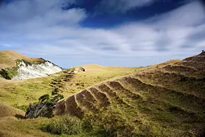 Zealand Prints: Golden grassland hills with terraces under a cloudy sky near Cape Farewell in Golden Bay