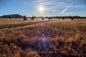 Prairie Prints: Golden grassland prairie near sundown