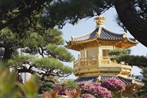 Images Dated 17th January 2009: Golden Pagoda in Nan Lian Garden near Chi Lin Nunnery, Diamond Hill, Kowloon