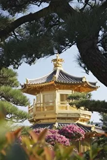 Images Dated 17th January 2009: Golden Pagoda in Nan Lian Garden near Chi Lin Nunnery, Diamond Hill, Kowloon