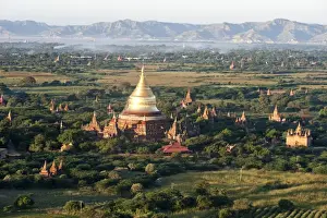 Bagan Prints: The golden stupa of Dhammayazika Pagoda amongst some of the other terracotta Buddhist