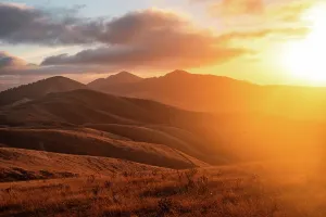 Zealand Prints: Golden sunset over rugged hills in Marlborough Sounds, South Island, New Zealand