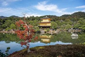 Imagery Prints: Golden Temple (Kinkaku-ji) (Temple of the Golden Pavilion)
