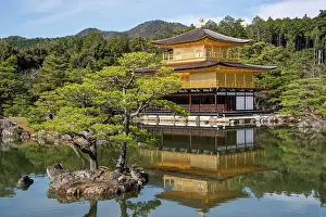 Pavilion Prints: Golden Temple (Kinkaku-ji) (Temple of the Golden Pavilion)