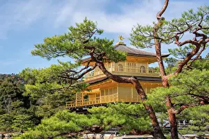 Famous Landmarks Prints: Golden Temple (Kinkaku-ji) (Temple of the Golden Pavilion)