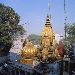 Golden Temple Prints: The Golden Temple of Vishwanath