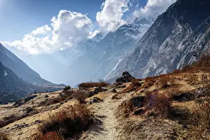 Backpacking Prints: Golden trekking path winding through alpine scrub under dramatic clouds and cliffs in Langtang Valley