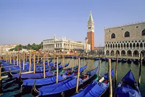 Campanile Prints: Gondolas moored at Riva degli Schiavoni with the Doges Palace and Campanile of San Marco background