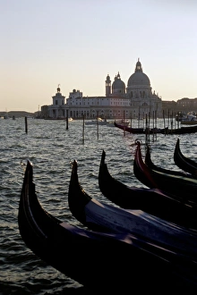 Gondolas and S
