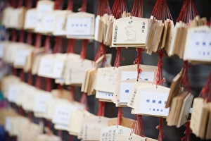 Images Dated 20th November 2009: Good luck messages written on wooden prayer tablets, Shimogamo Shrine, Tadasu no Mori
