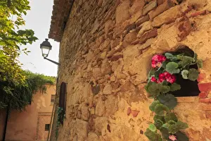 Girona Prints: Gorgeous medieval village, geranium with pink flowers in old stone wall, Peratallada