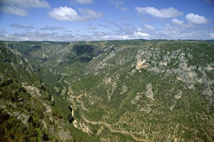 Lozere Prints: Gorges du Tarn from Roc des Hourtous, Lozere, Languedoc-Roussillon, France, Europe