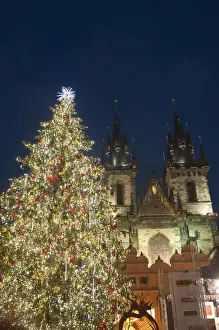 Old Town Square Prints: Gothic Tyn Church, Christmas tree at twilight in Old Town Square, Stare Mesto