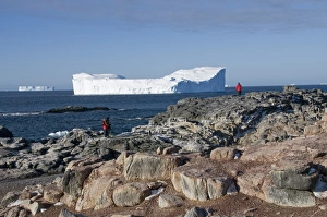 South Pole Prints: Gourdin Island, Antarctic Peninsula, Antarctica, Polar Regions