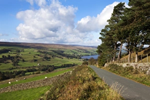 Gouthwaite Reservoir from Wath Lane, Pateley Bridge, North Yorkshire, Yorkshire, England, United Kingdom, Europe
