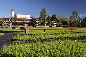 Bay Of Plenty Prints: Government Gardens, Rotorua, Bay of Plenty, North Island, New Zealand, Pacific