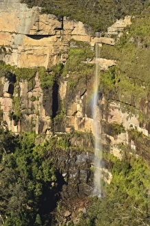 Eucalypt Forest Prints: Govetts Leap, Grose Valley, Blue Mountains, Blue Mountains National Park