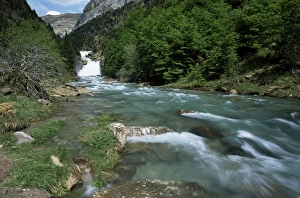 Huesca Prints: Gradas de Soaso